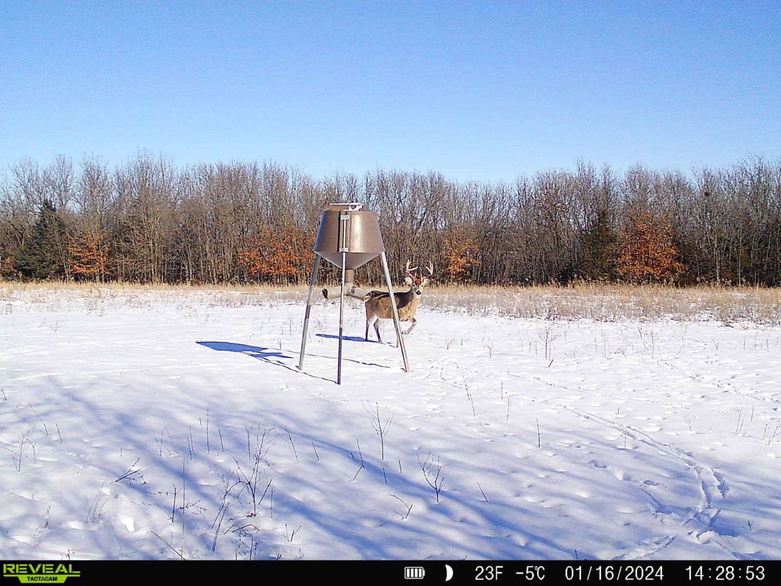 106 Vermont Terrace, Greeley, KS, 66033