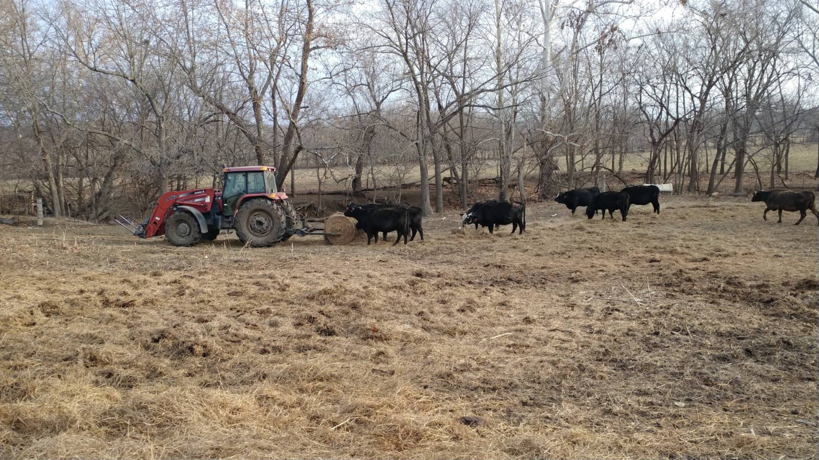 106 Vermont Terrace, Greeley, KS, 66033