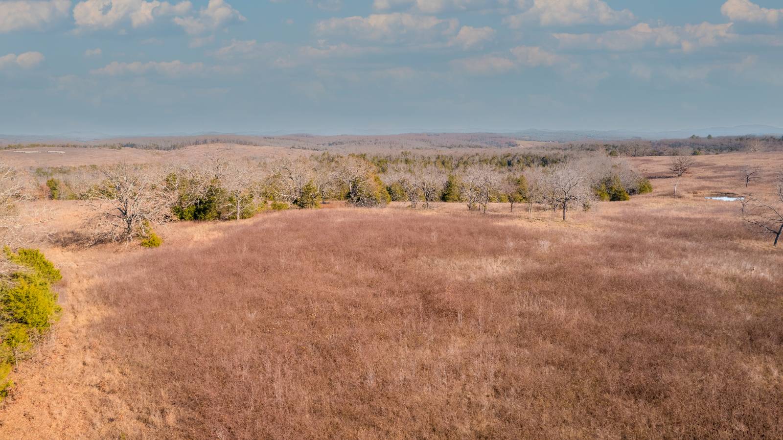 Finca Santa Rosa Parcela A.1, Dorado, PR, 00646