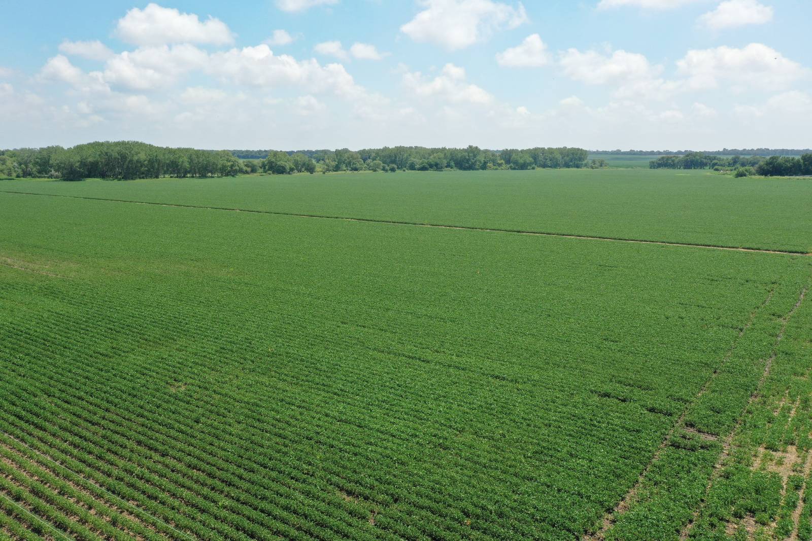 Photo 1 of 5 of land listing at 585 street, Fullerton, NE 68638