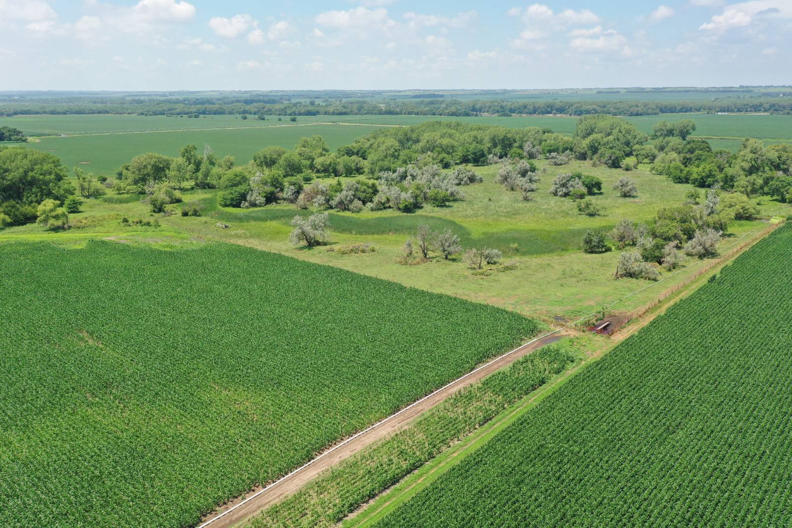 Photo 2 of 5 of land listing at 585 street, Fullerton, NE 68638