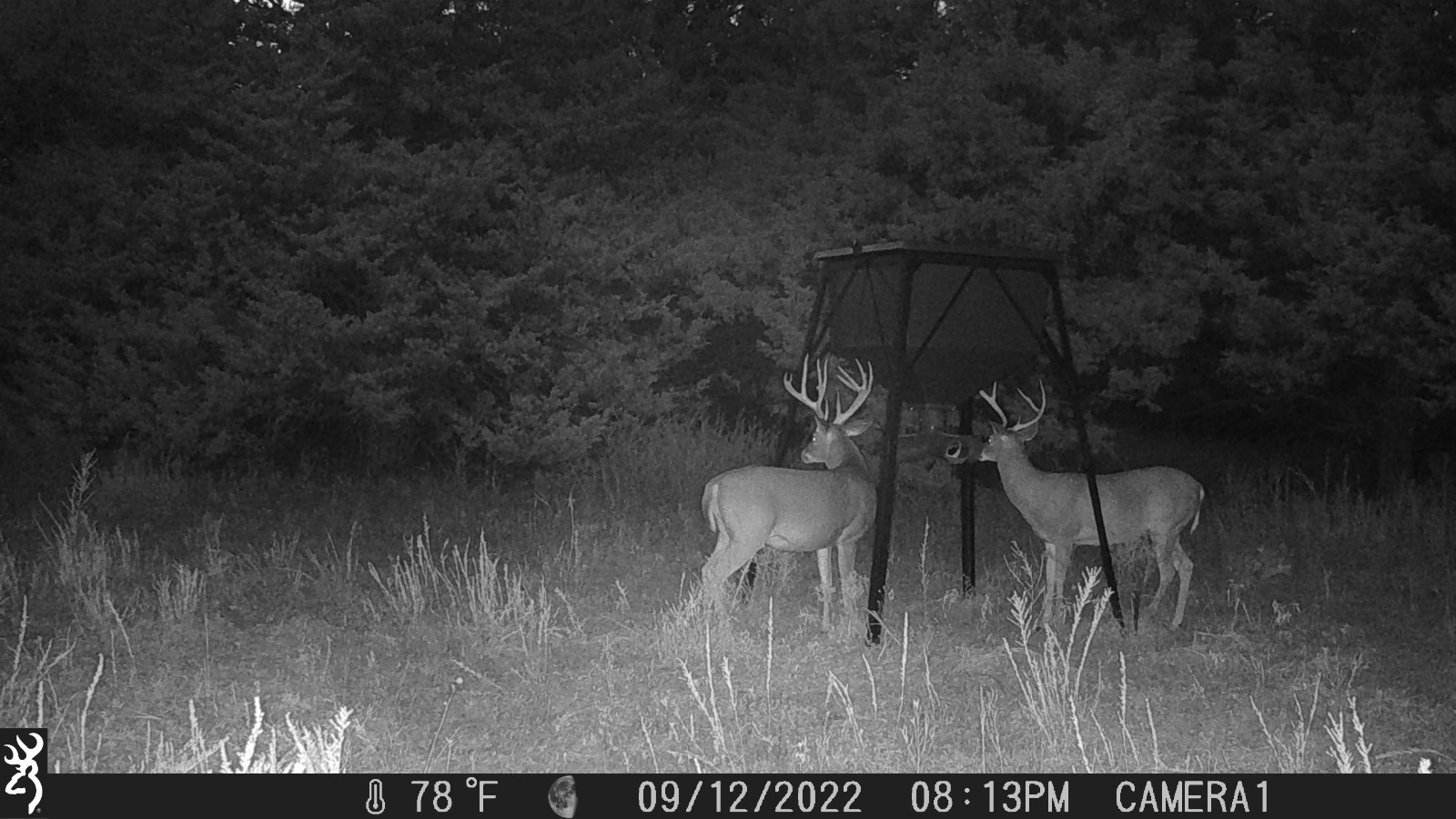 1140 Road 8, Cedar Vale, KS, 67024