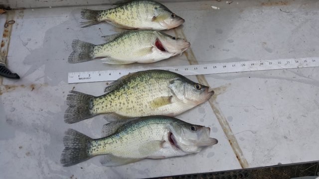 1140 Road 8, Cedar Vale, KS, 67024