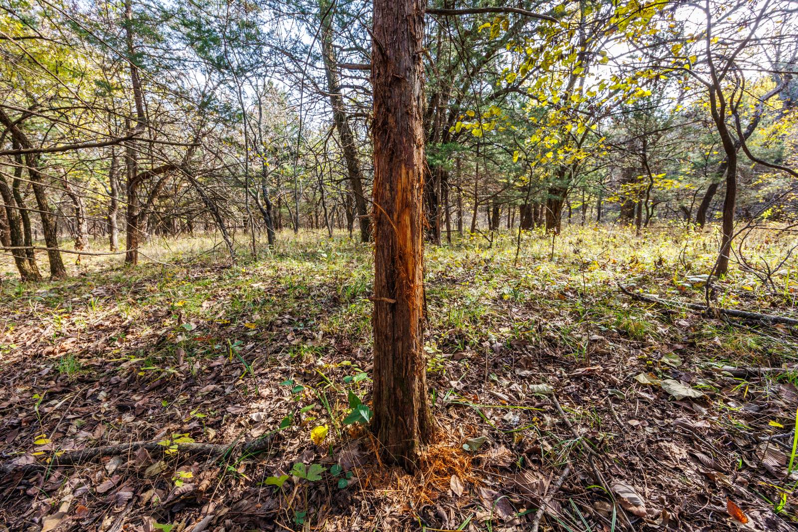 1140 Road 8, Cedar Vale, KS, 67024