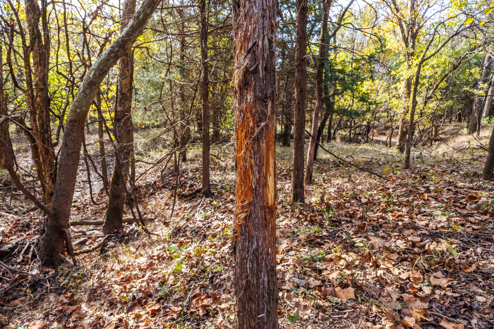 1140 Road 8, Cedar Vale, KS, 67024