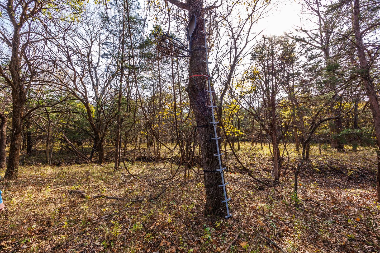 1140 Road 8, Cedar Vale, KS, 67024