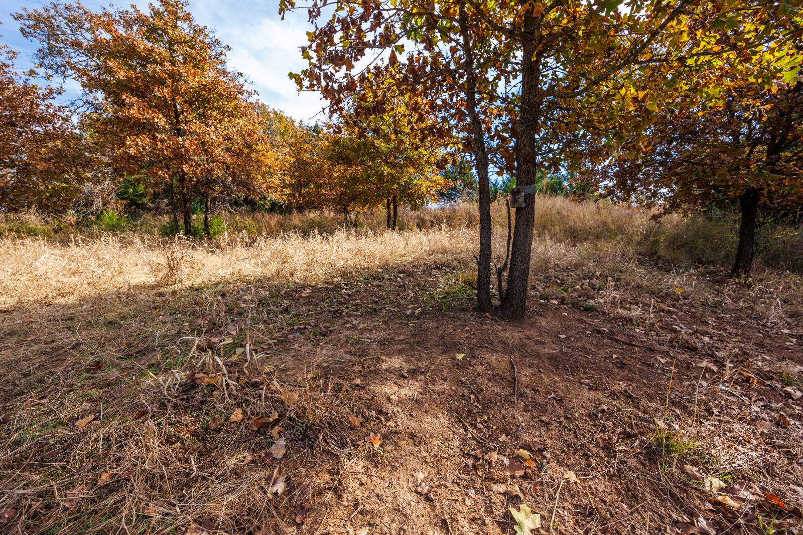 1140 Road 8, Cedar Vale, KS, 67024