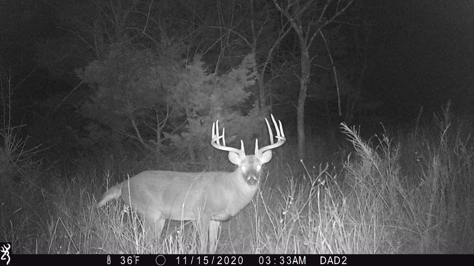 1140 Road 8, Cedar Vale, KS, 67024