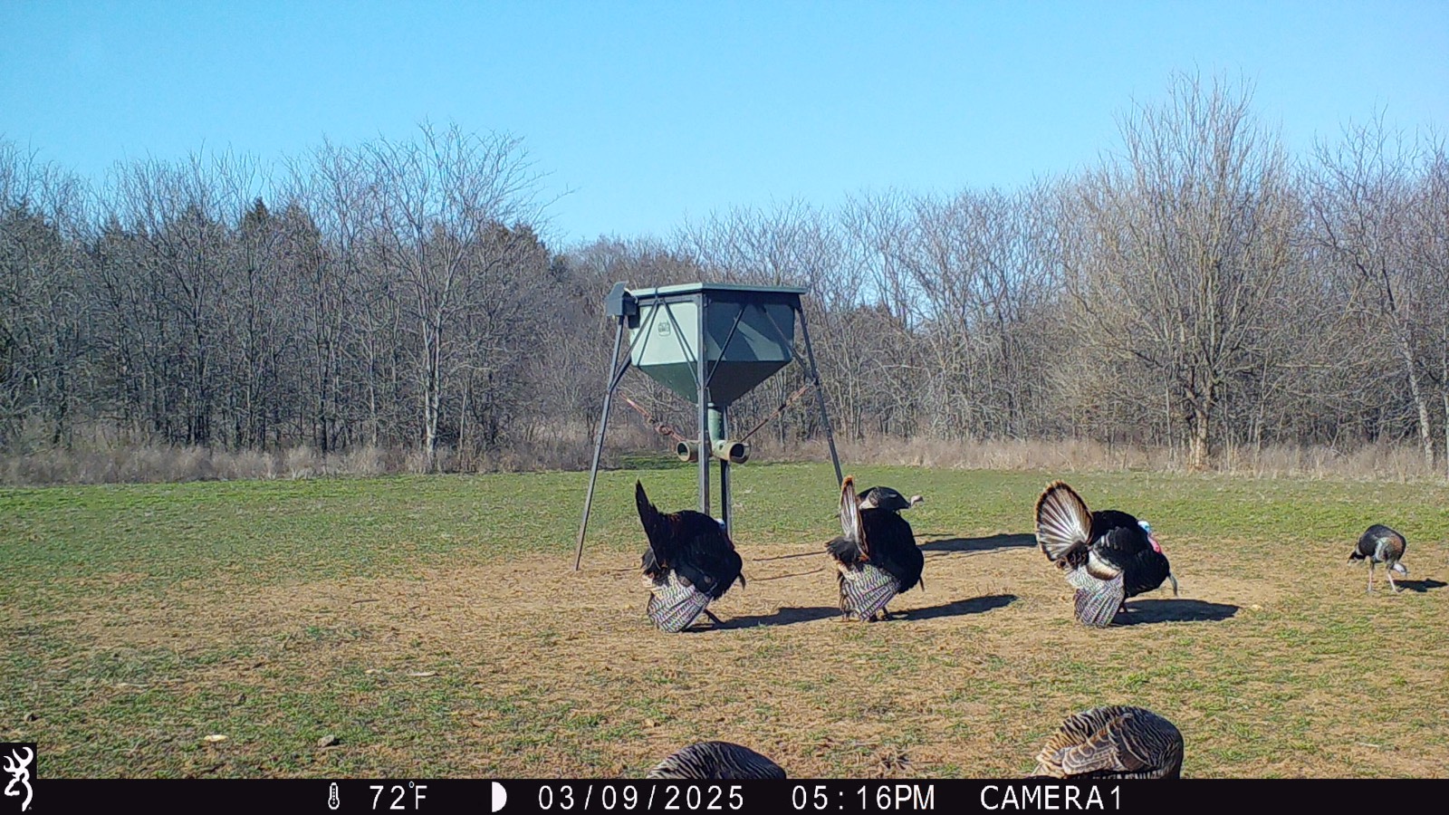 1140 Road 8, Cedar Vale, KS, 67024