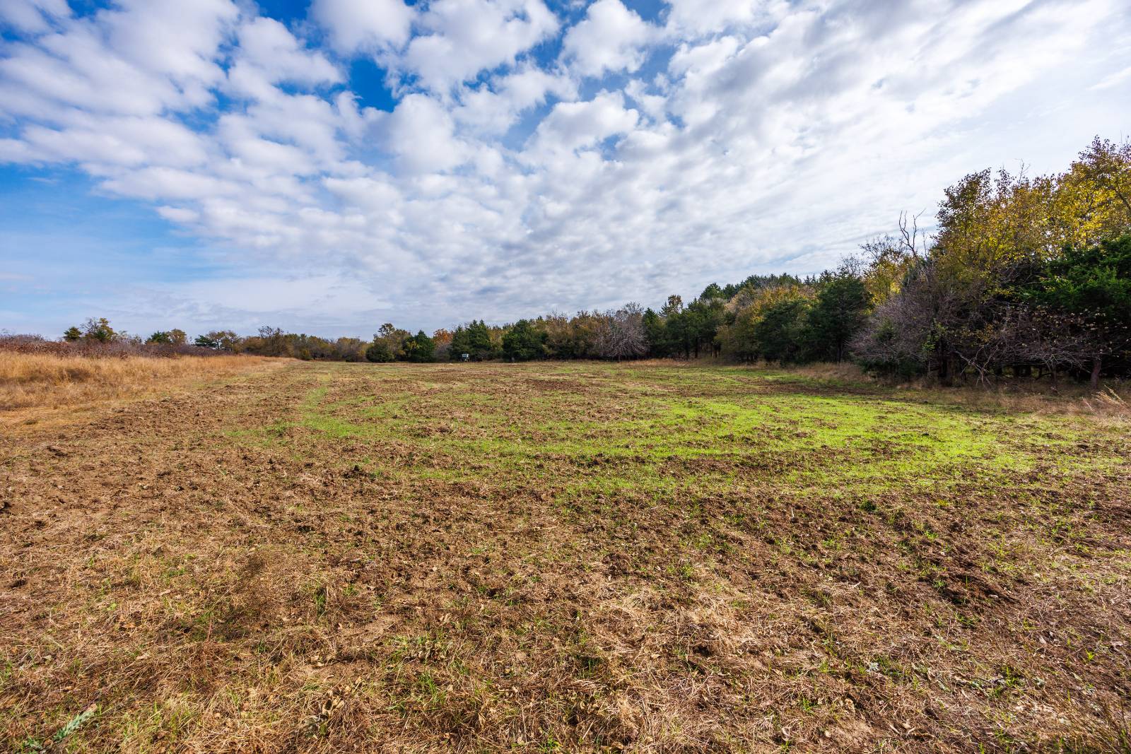 1140 Road 8, Cedar Vale, KS, 67024