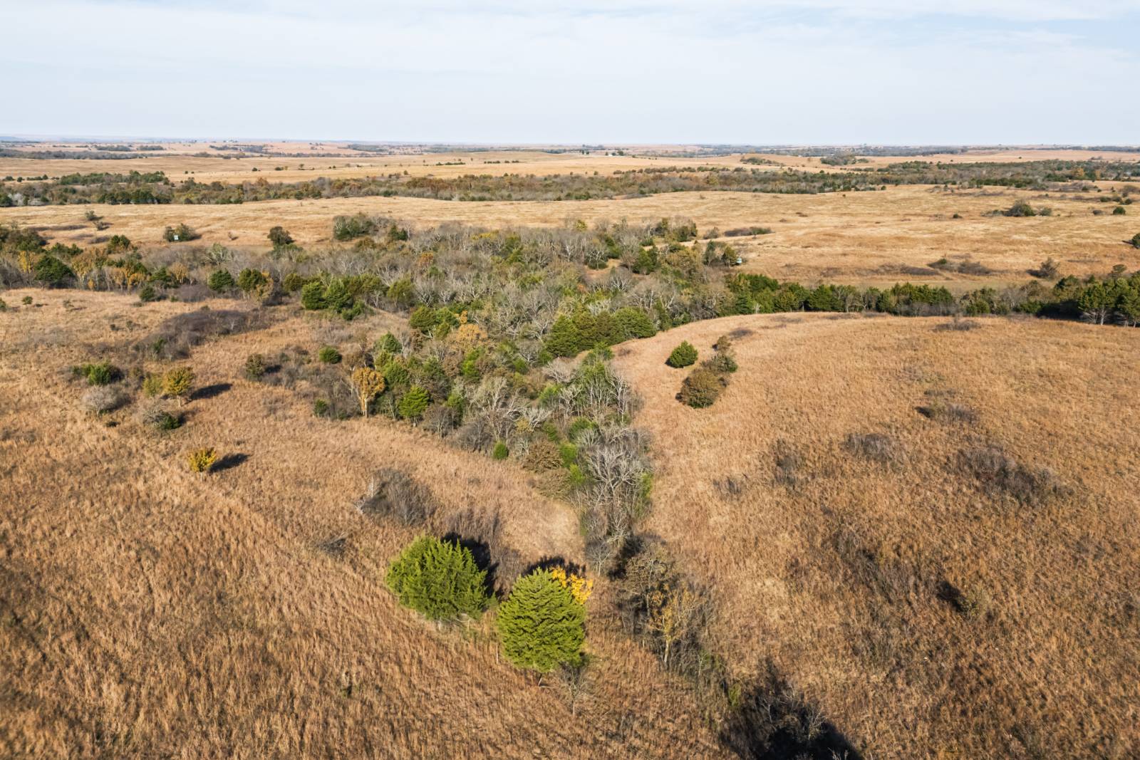 1140 Road 8, Cedar Vale, KS, 67024