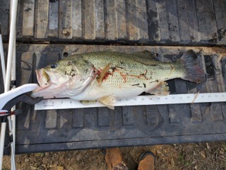 1140 Road 8, Cedar Vale, KS, 67024