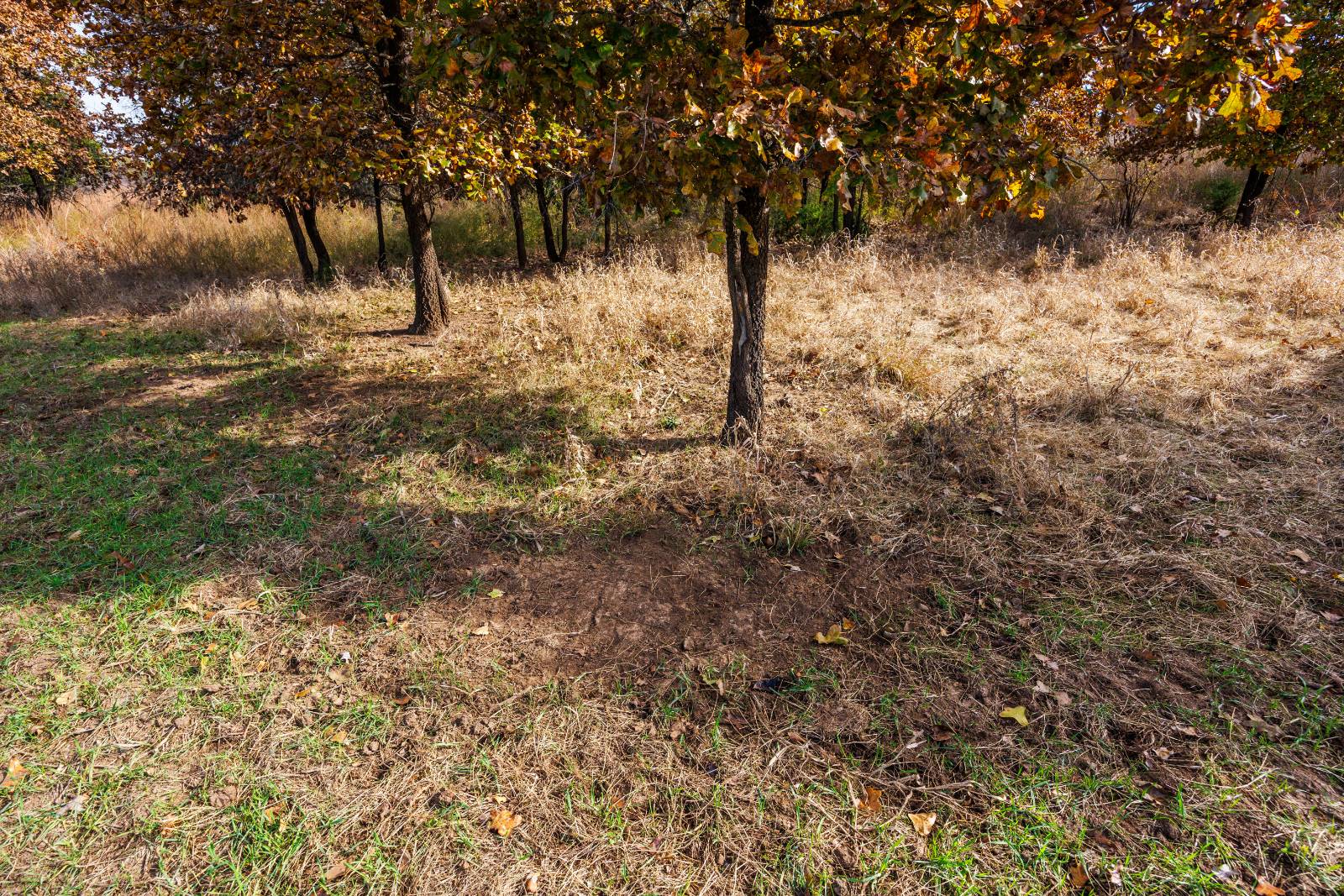 1140 Road 8, Cedar Vale, KS, 67024