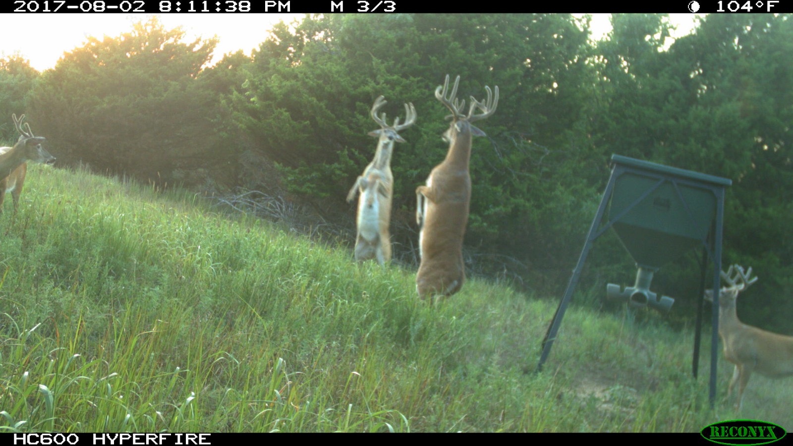 1140 Road 8, Cedar Vale, KS, 67024