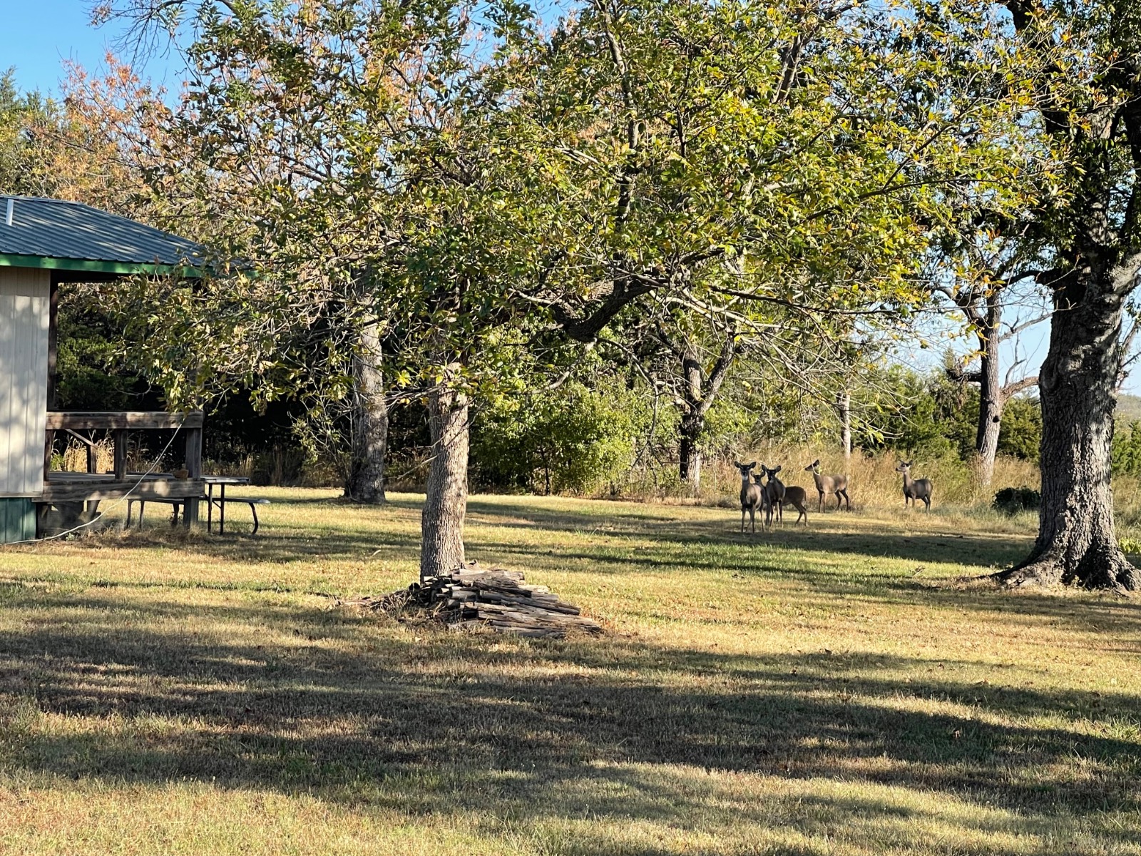 1140 Road 8, Cedar Vale, KS, 67024