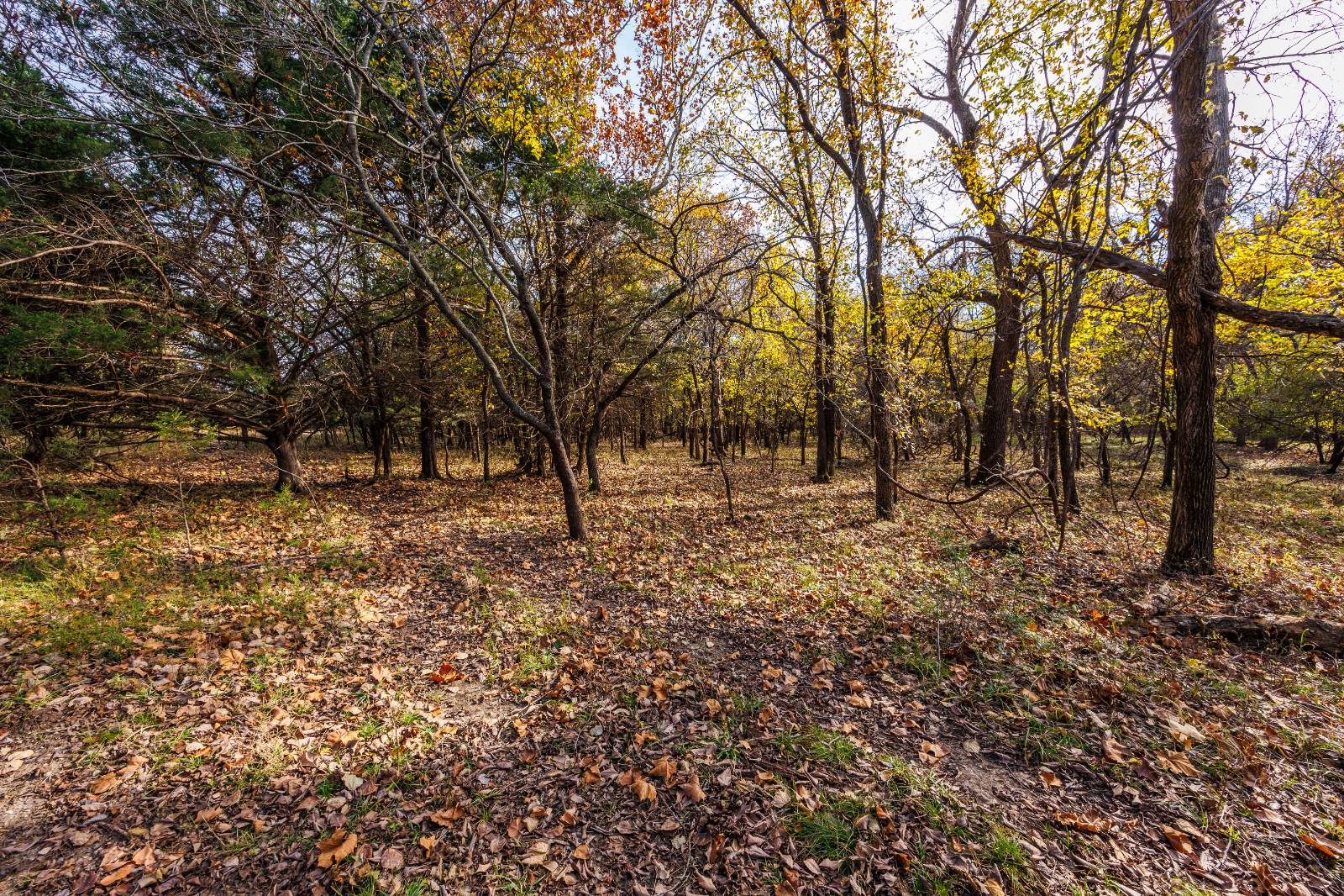 1140 Road 8, Cedar Vale, KS, 67024