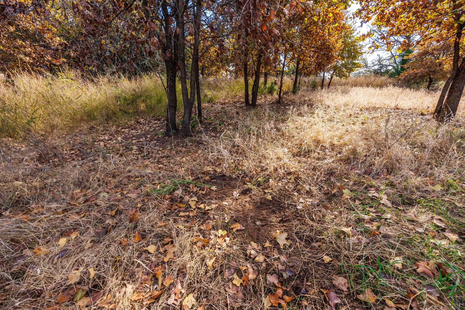 1140 Road 8, Cedar Vale, KS, 67024