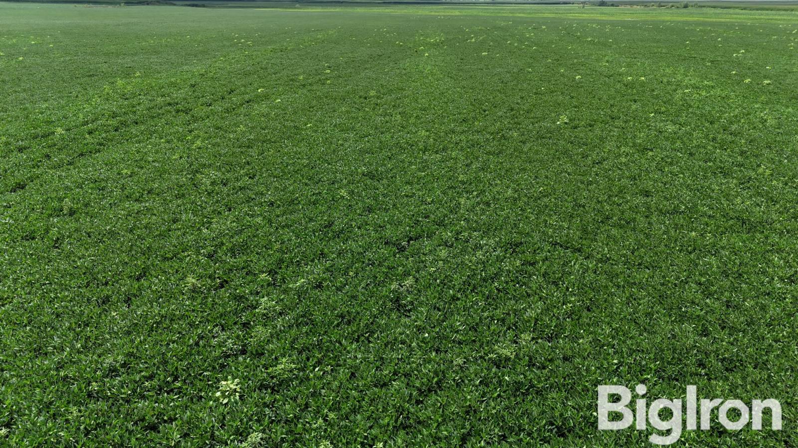 168-Acre Hunting Land for Sale, Holt County, MO, photo 3 of 34