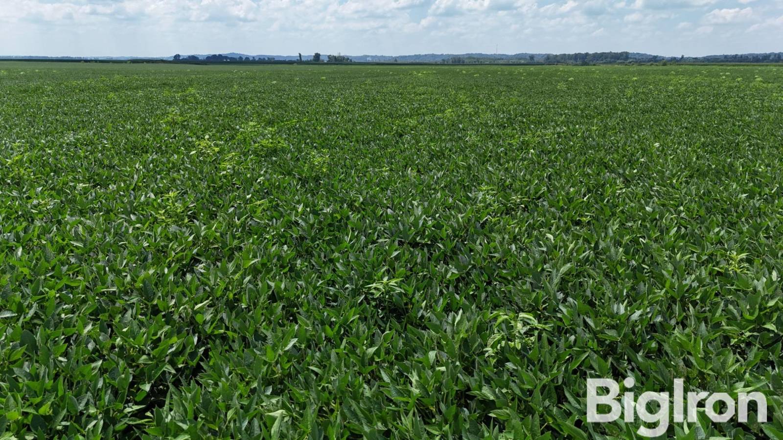 168-Acre Hunting Land for Sale, Holt County, MO, photo 2 of 34
