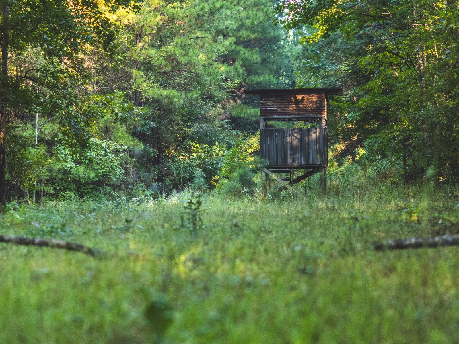 Finca Santa Rosa Parcela A.1, Dorado, PR, 00646