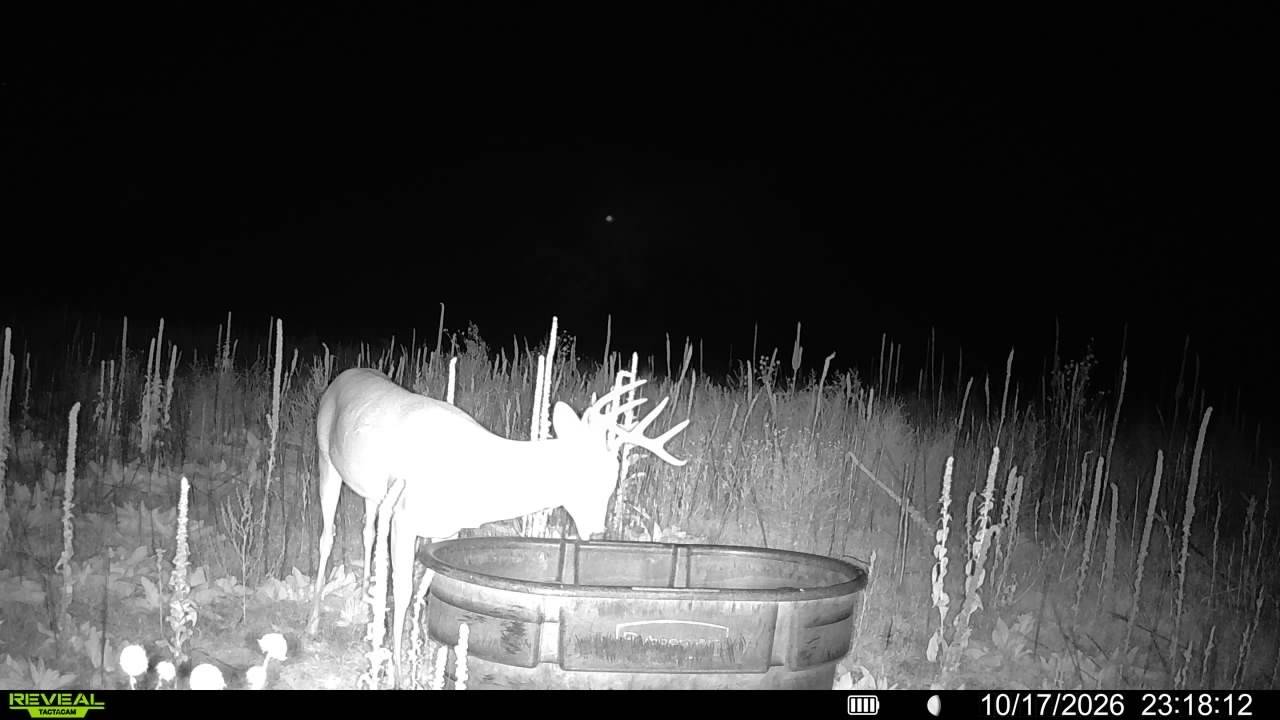 160-Acre Hunting Land for Sale, Elbert County, CO, photo 3 of 29