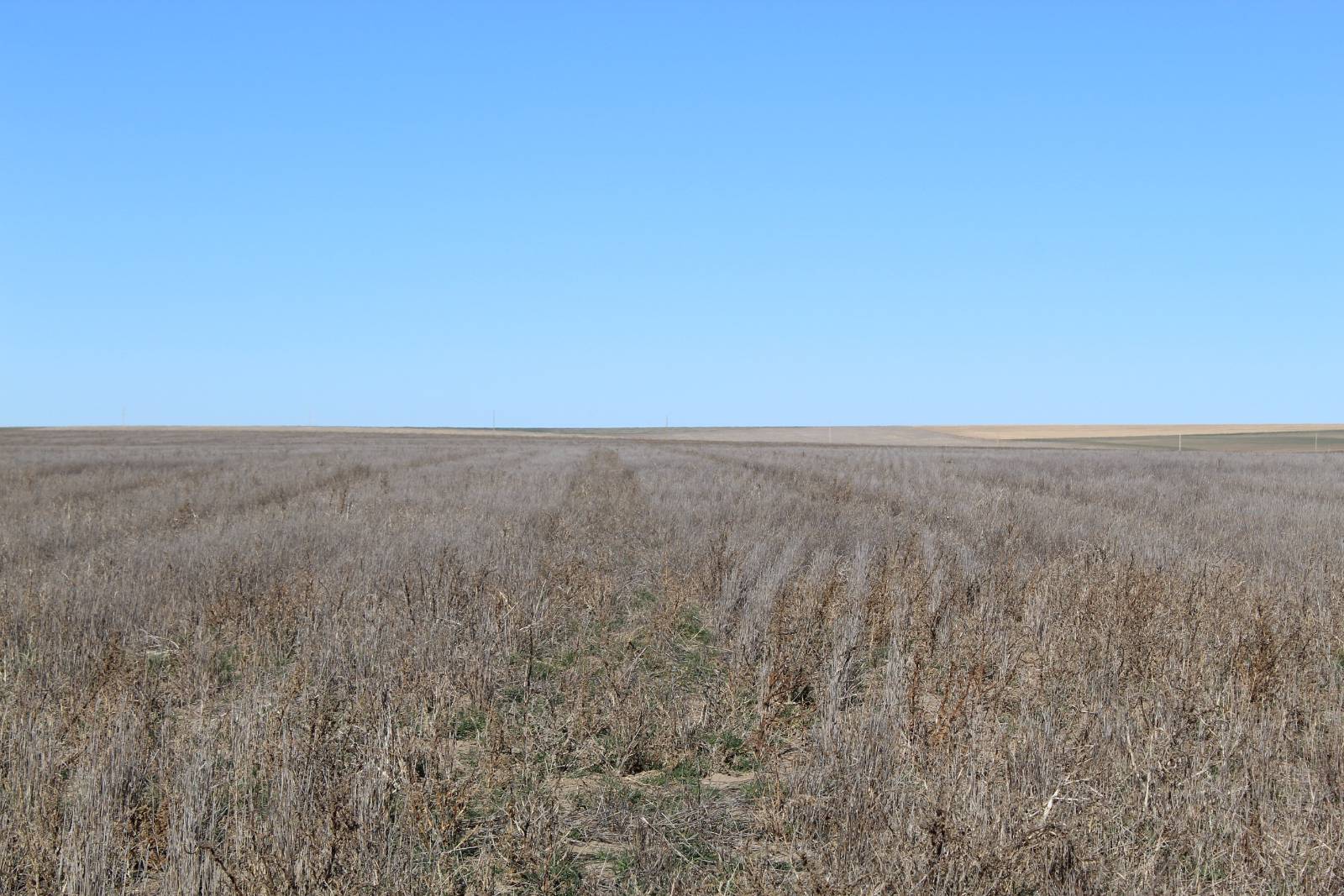 000 US Hwy 40, Winona, KS, 67764