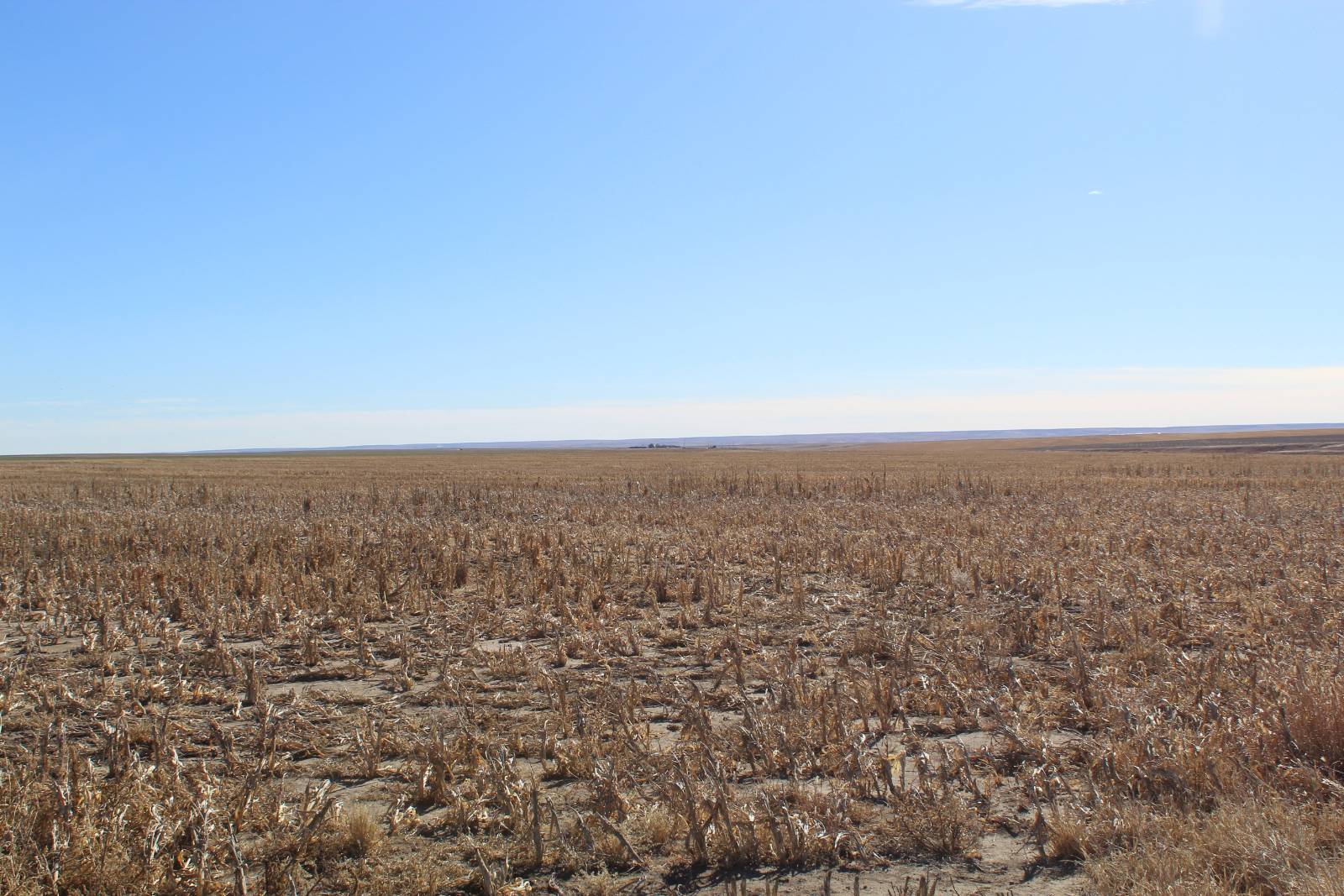 000 US Hwy 40, Winona, KS, 67764