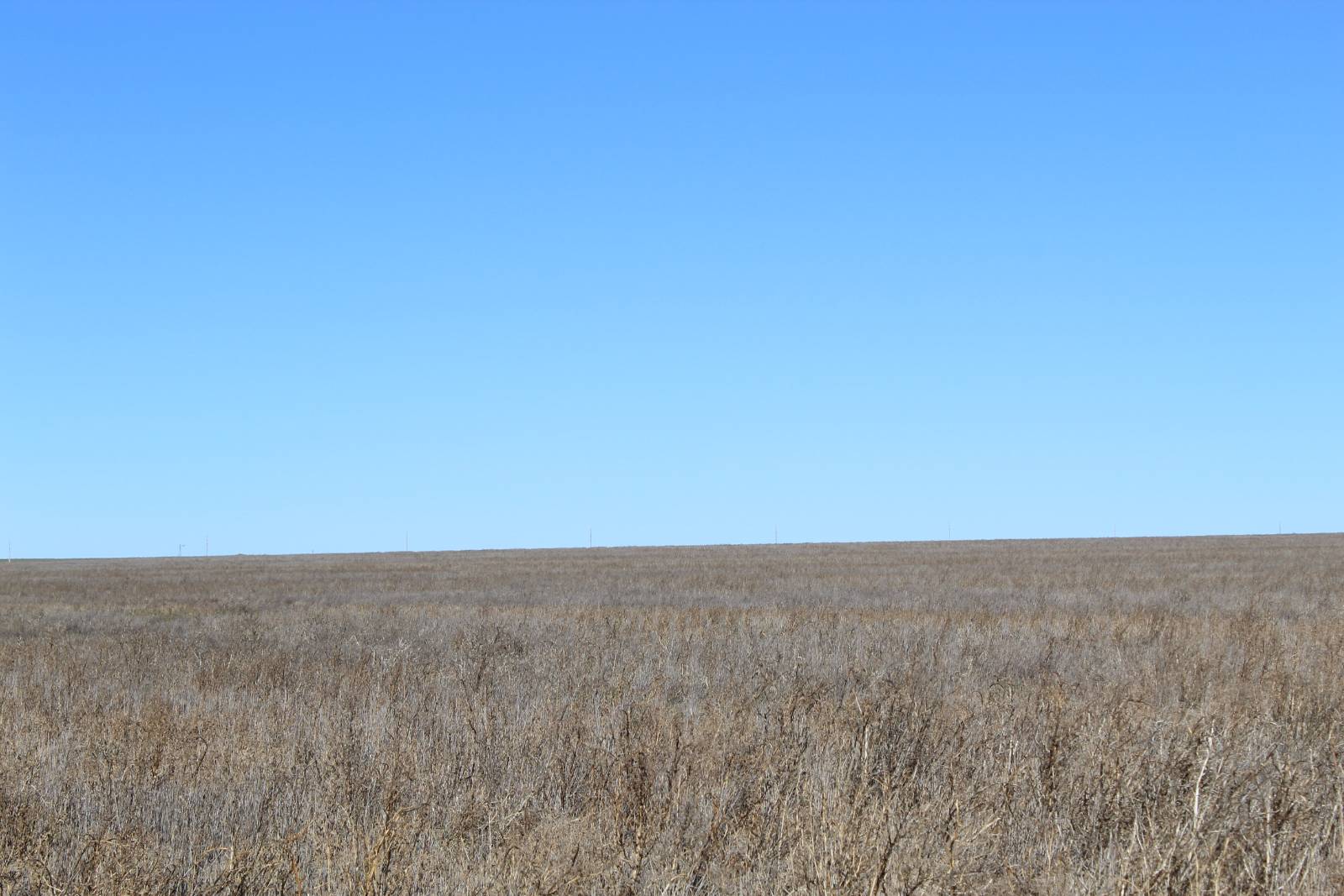 000 US Hwy 40, Winona, KS, 67764