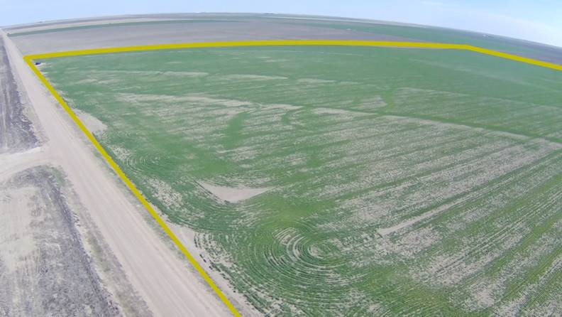 A-10; 100 Prairie View Cov