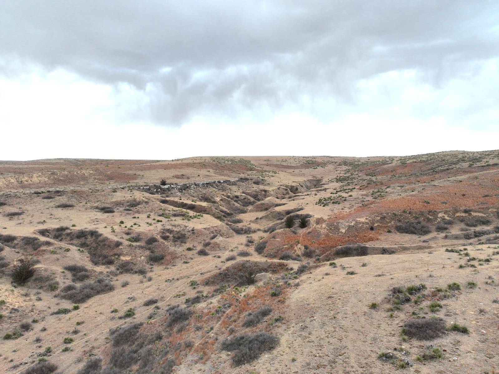 A-10; 100 Prairie View Cov