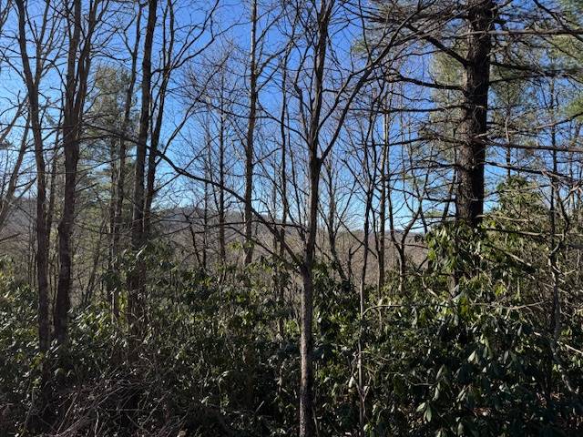 Photo 3 of 3 of land for sale at tbd Huskins Dr, Jonas Ridge, NC 28641