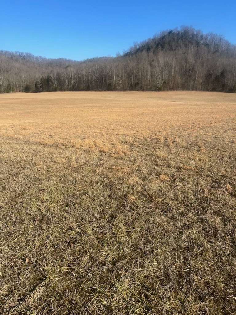 15.97 Acres Lawson Bottom Rd
