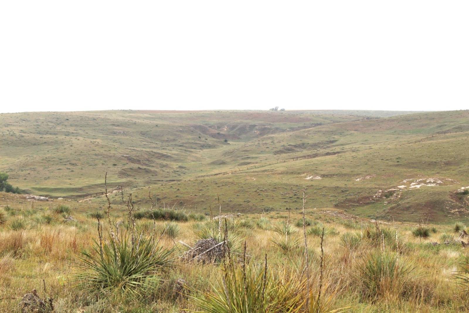 A-10; 100 Prairie View Cov