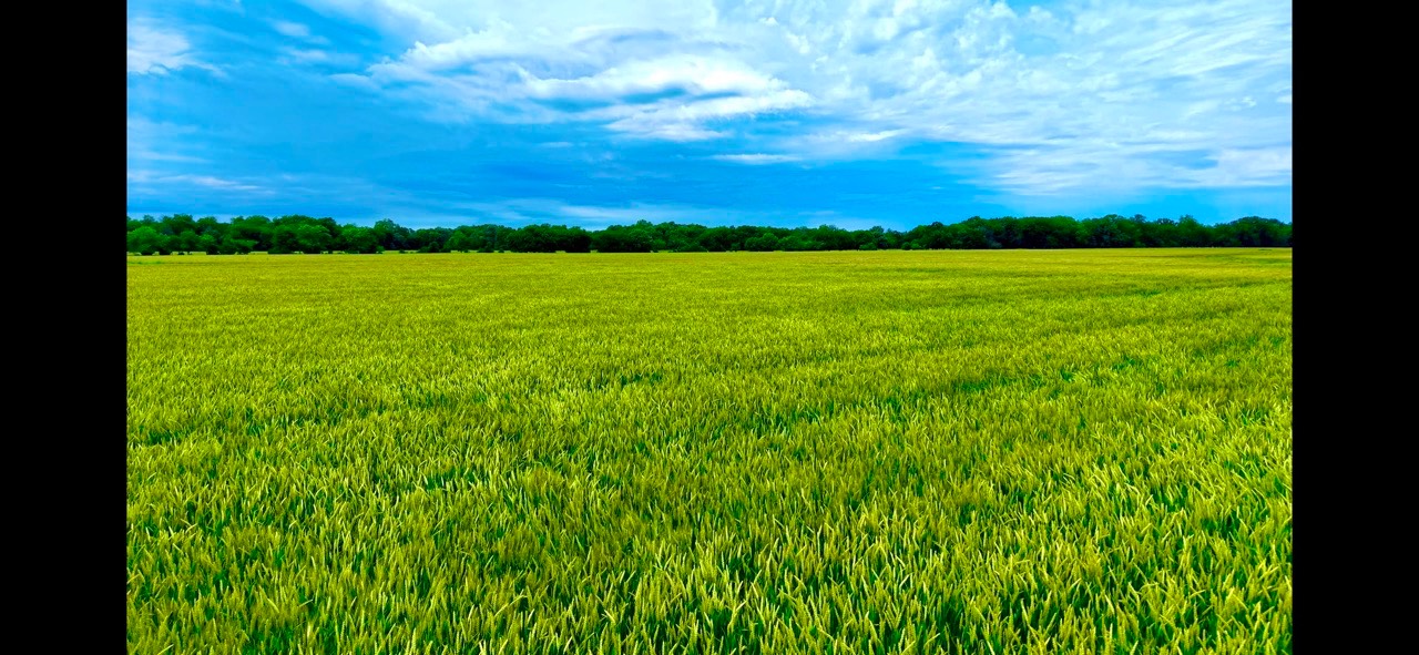 RR000 1350, Havana, KS, 67347