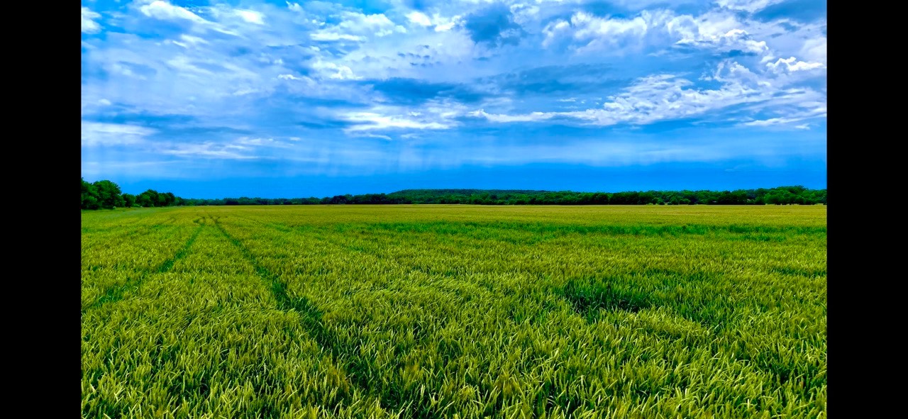 RR000 1350, Havana, KS, 67347