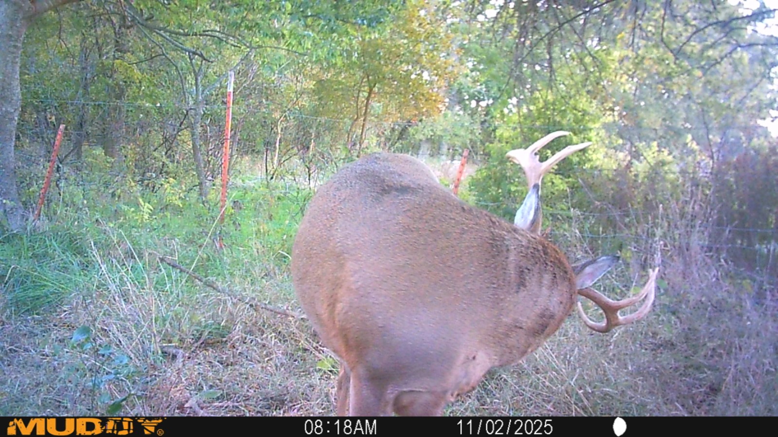 2950 Cr 2600, Independence, KS, 67301