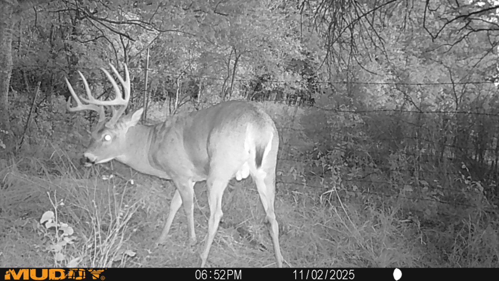 2950 Cr 2600, Independence, KS, 67301