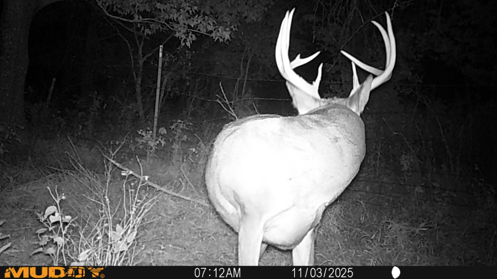 2950 Cr 2600, Independence, KS, 67301