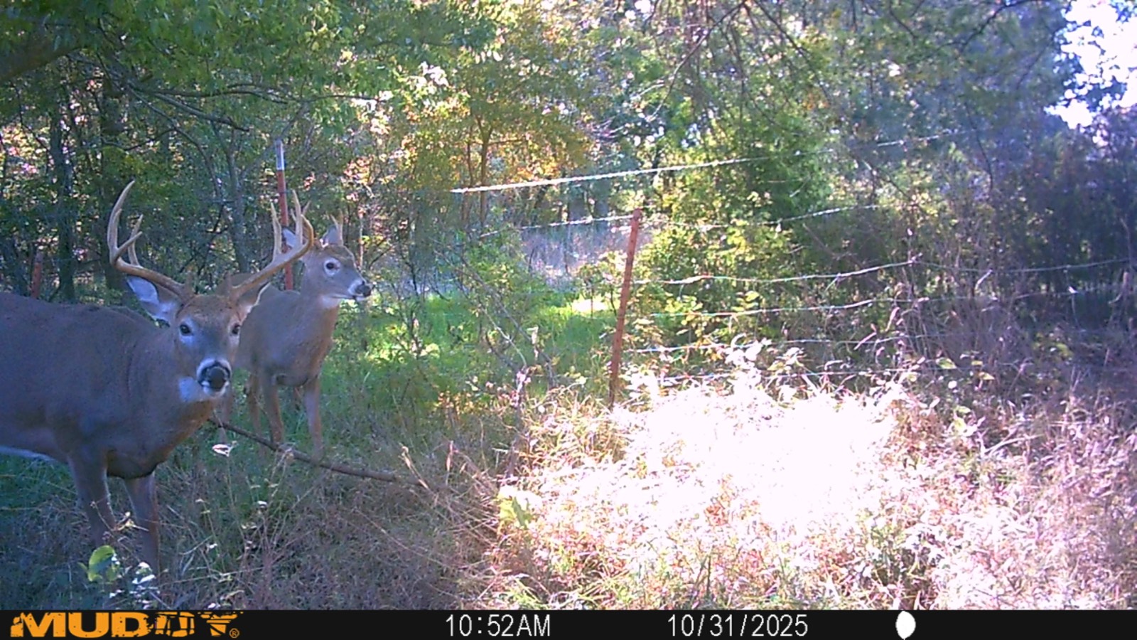 2950 Cr 2600, Independence, KS, 67301