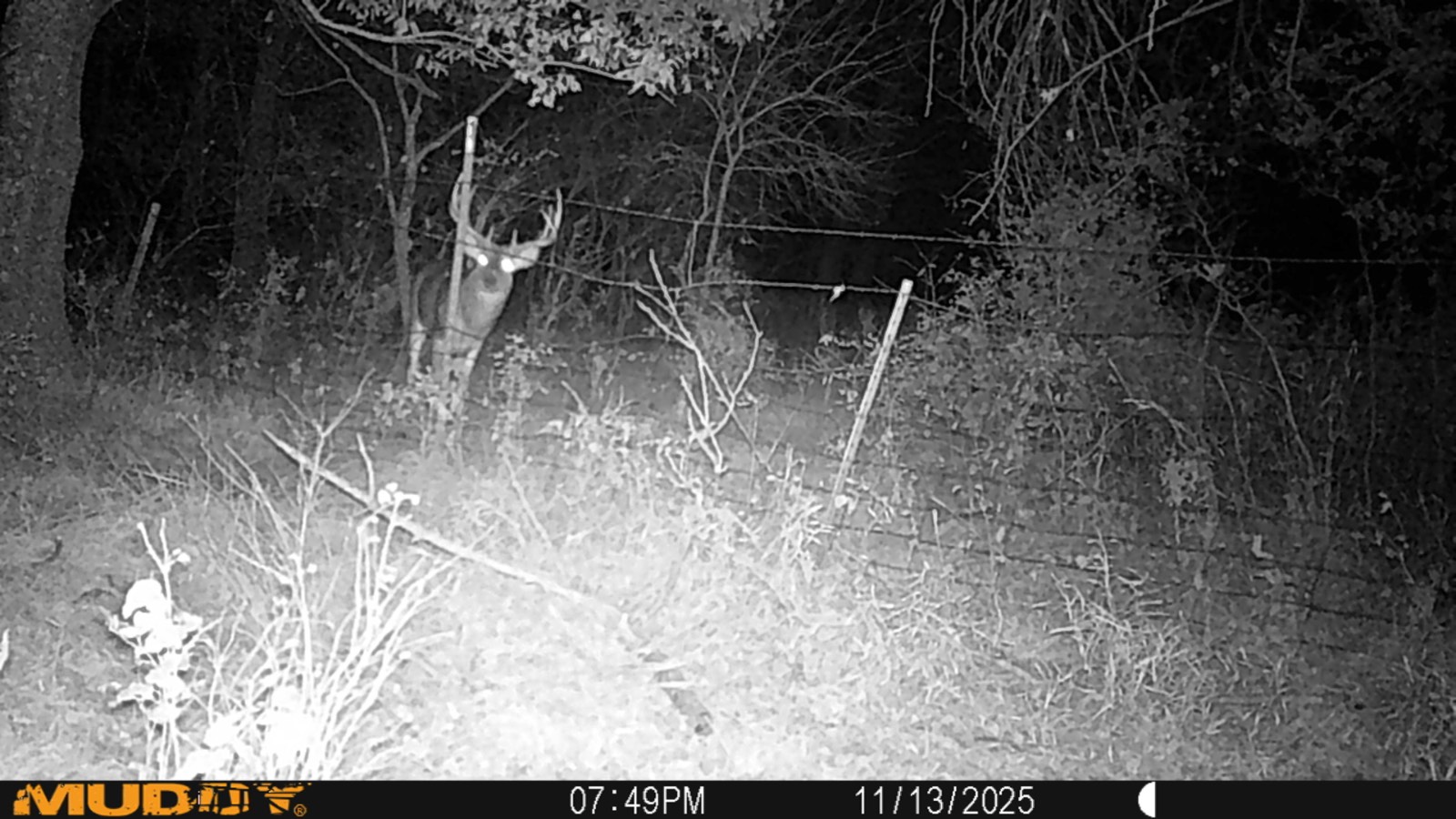 2950 Cr 2600, Independence, KS, 67301