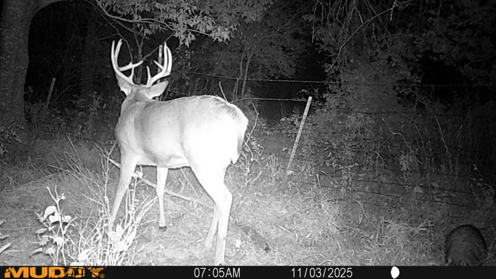 2950 Cr 2600, Independence, KS, 67301