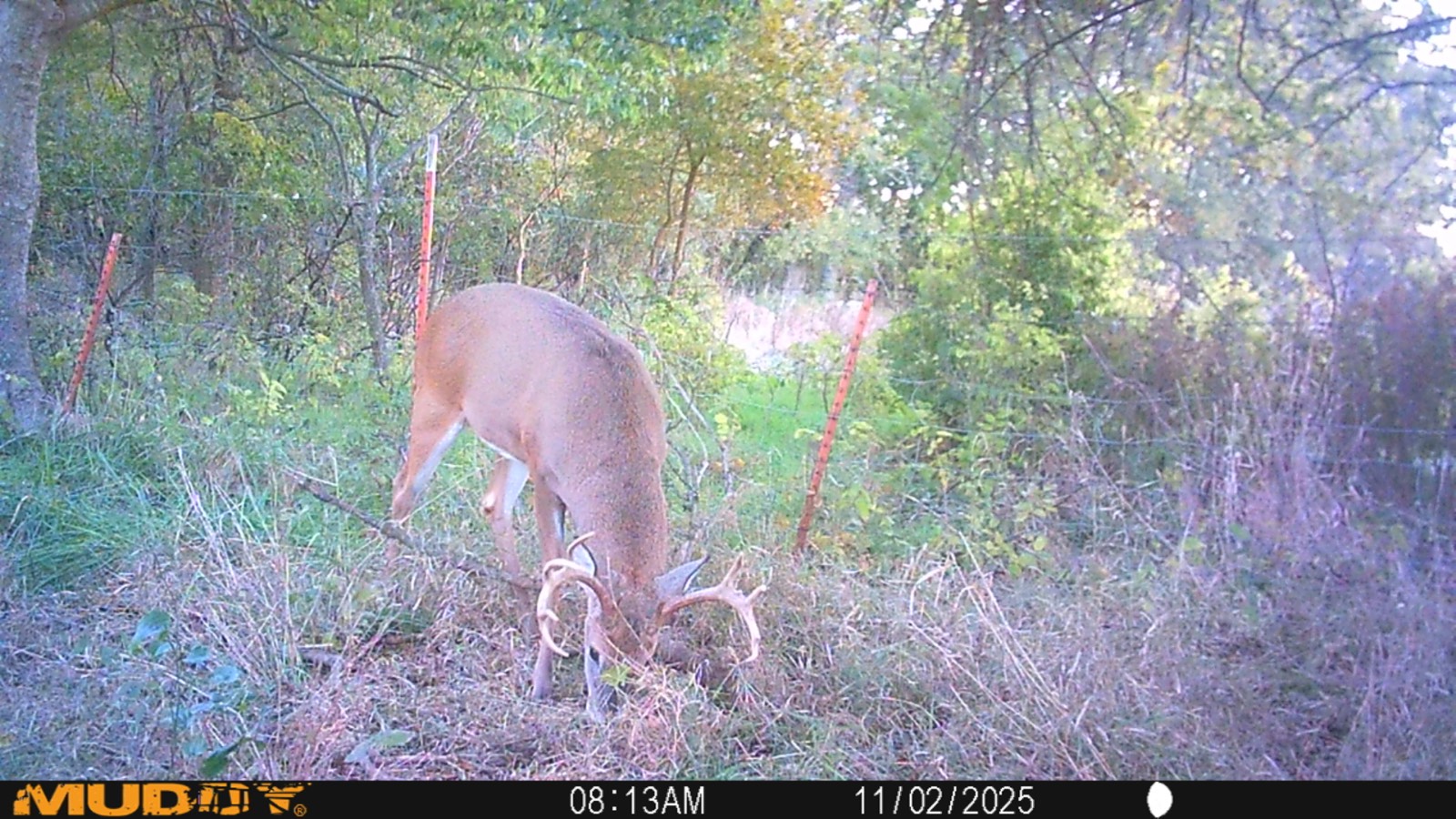 2950 Cr 2600, Independence, KS, 67301