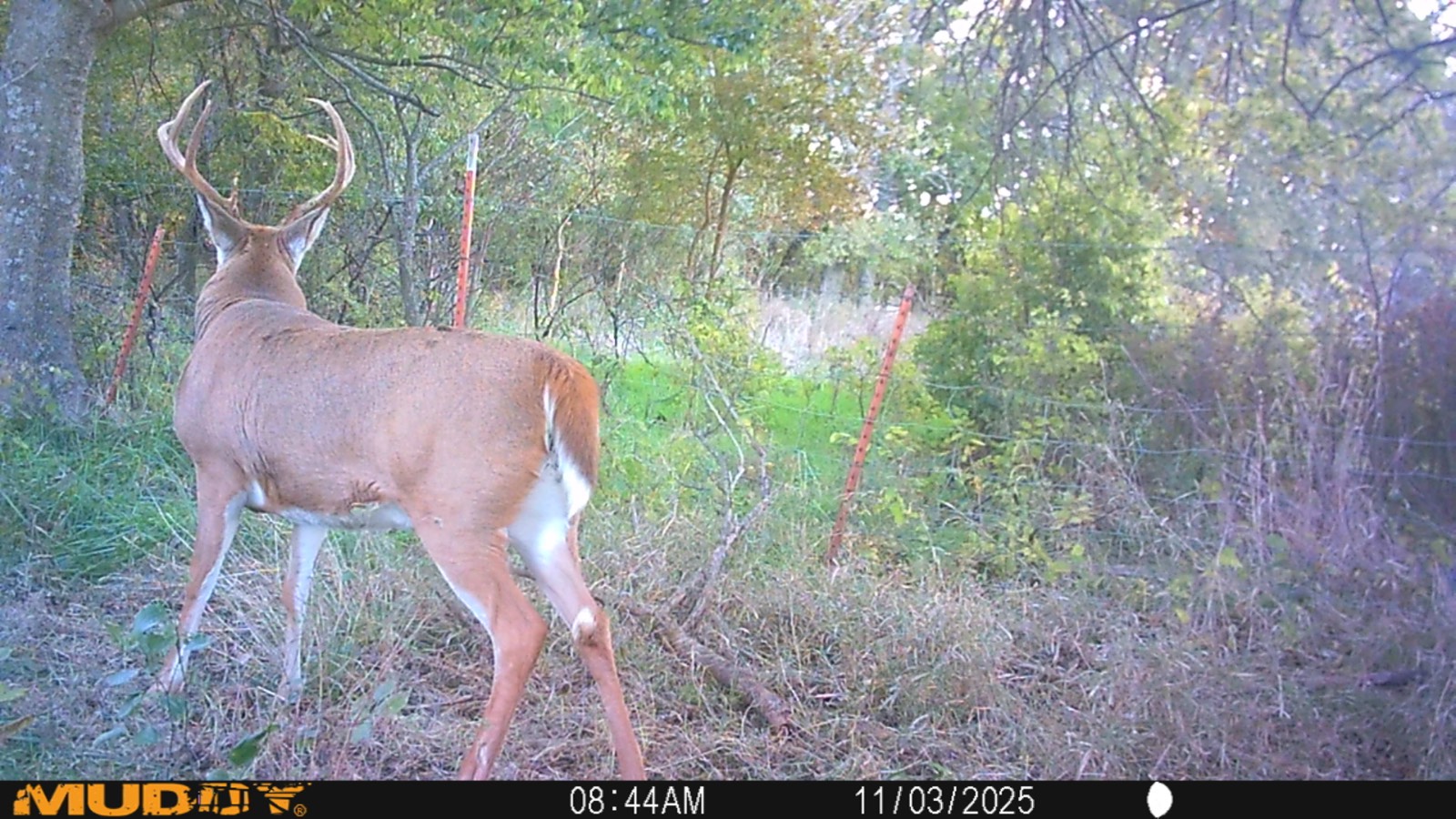 2950 Cr 2600, Independence, KS, 67301