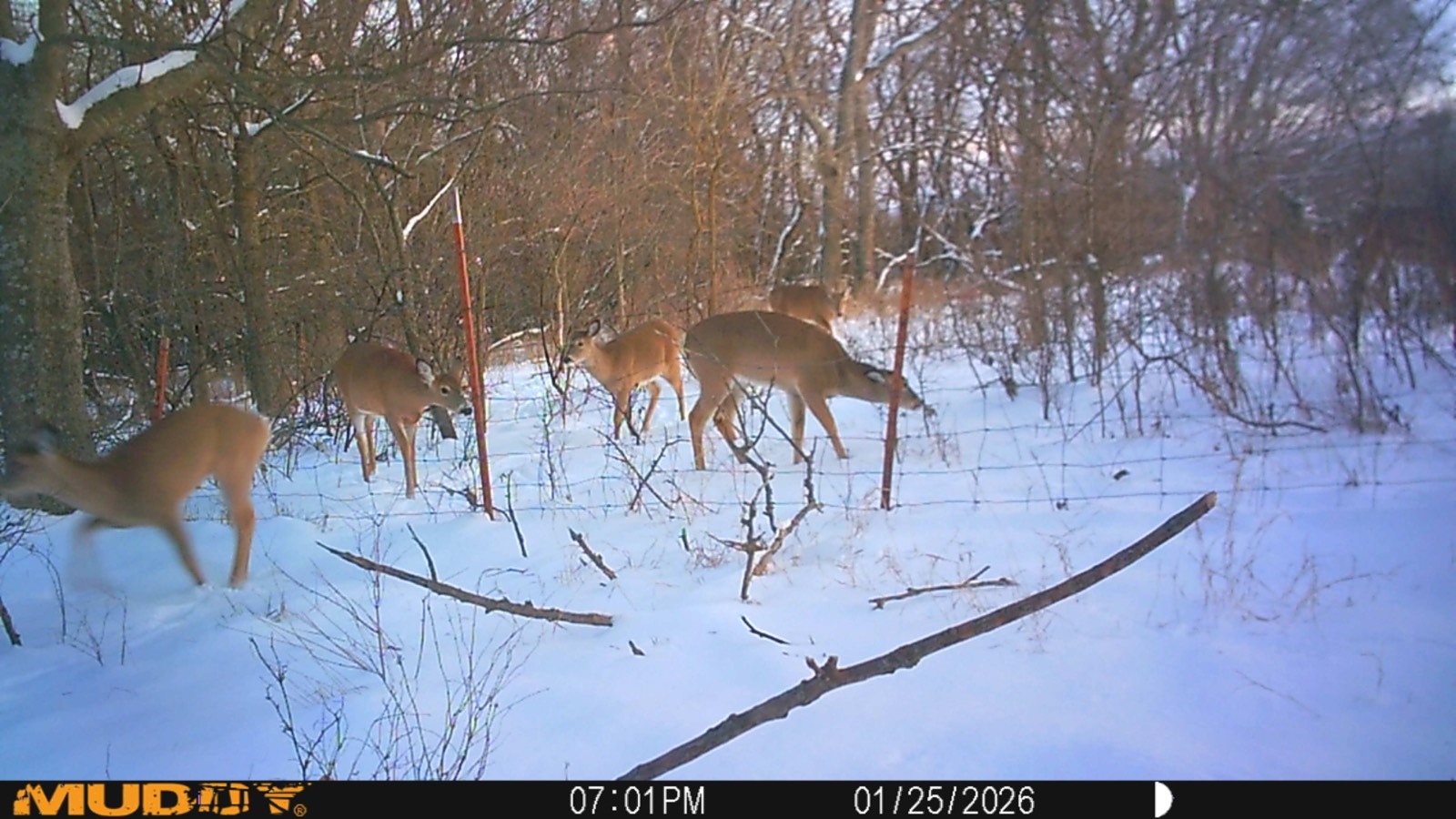 2950 Cr 2600, Independence, KS, 67301