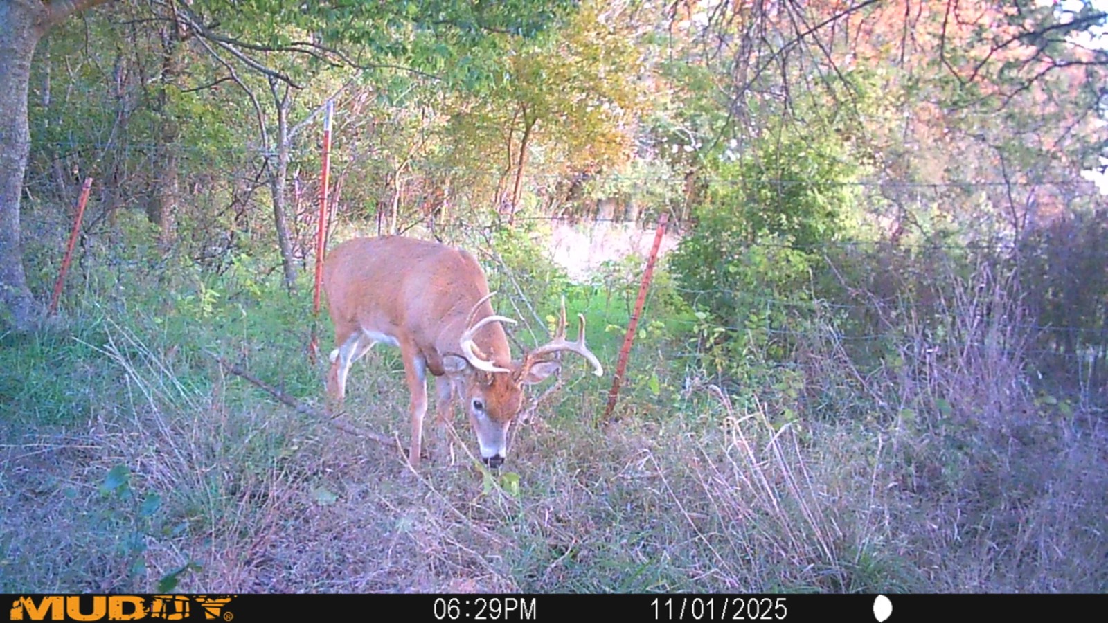 2950 Cr 2600, Independence, KS, 67301