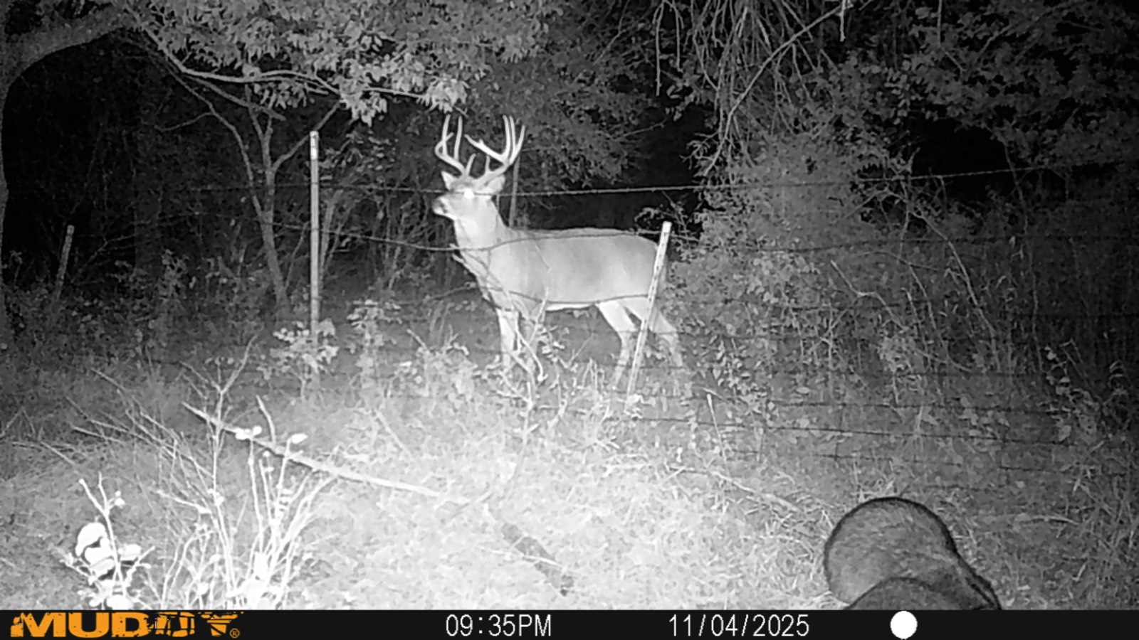 2950 Cr 2600, Independence, KS, 67301