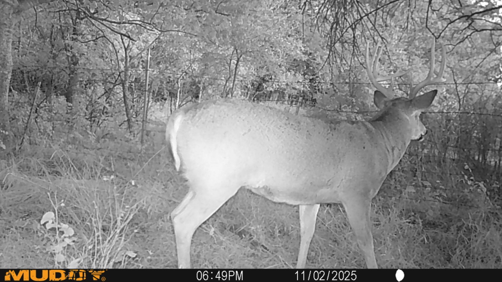 2950 Cr 2600, Independence, KS, 67301