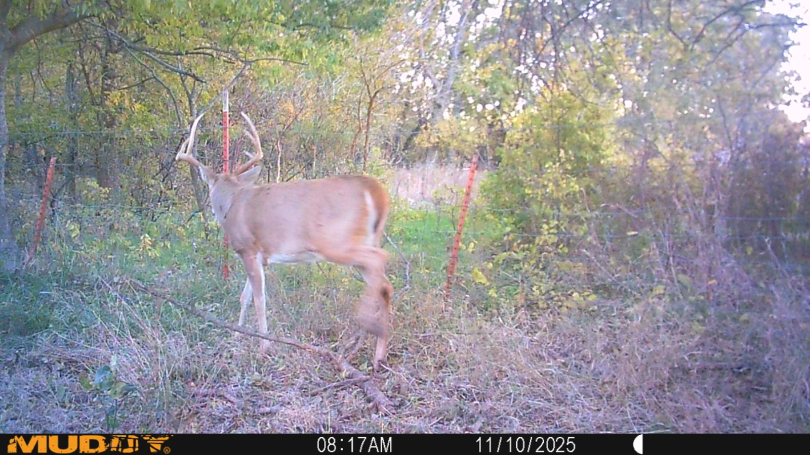 2950 Cr 2600, Independence, KS, 67301