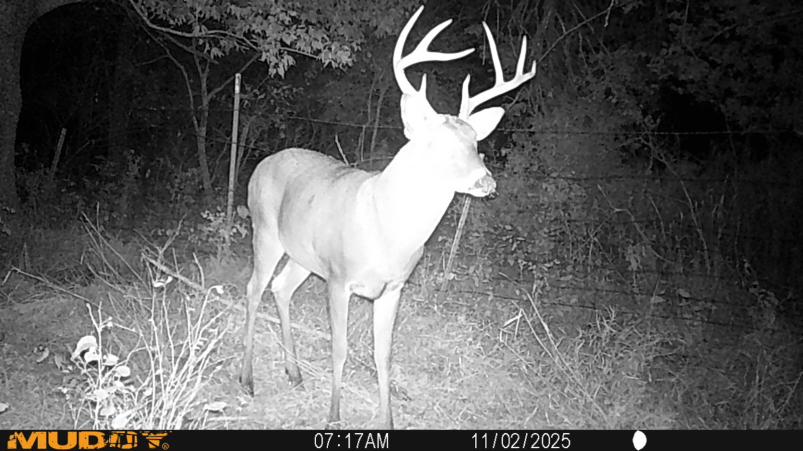 2950 Cr 2600, Independence, KS, 67301