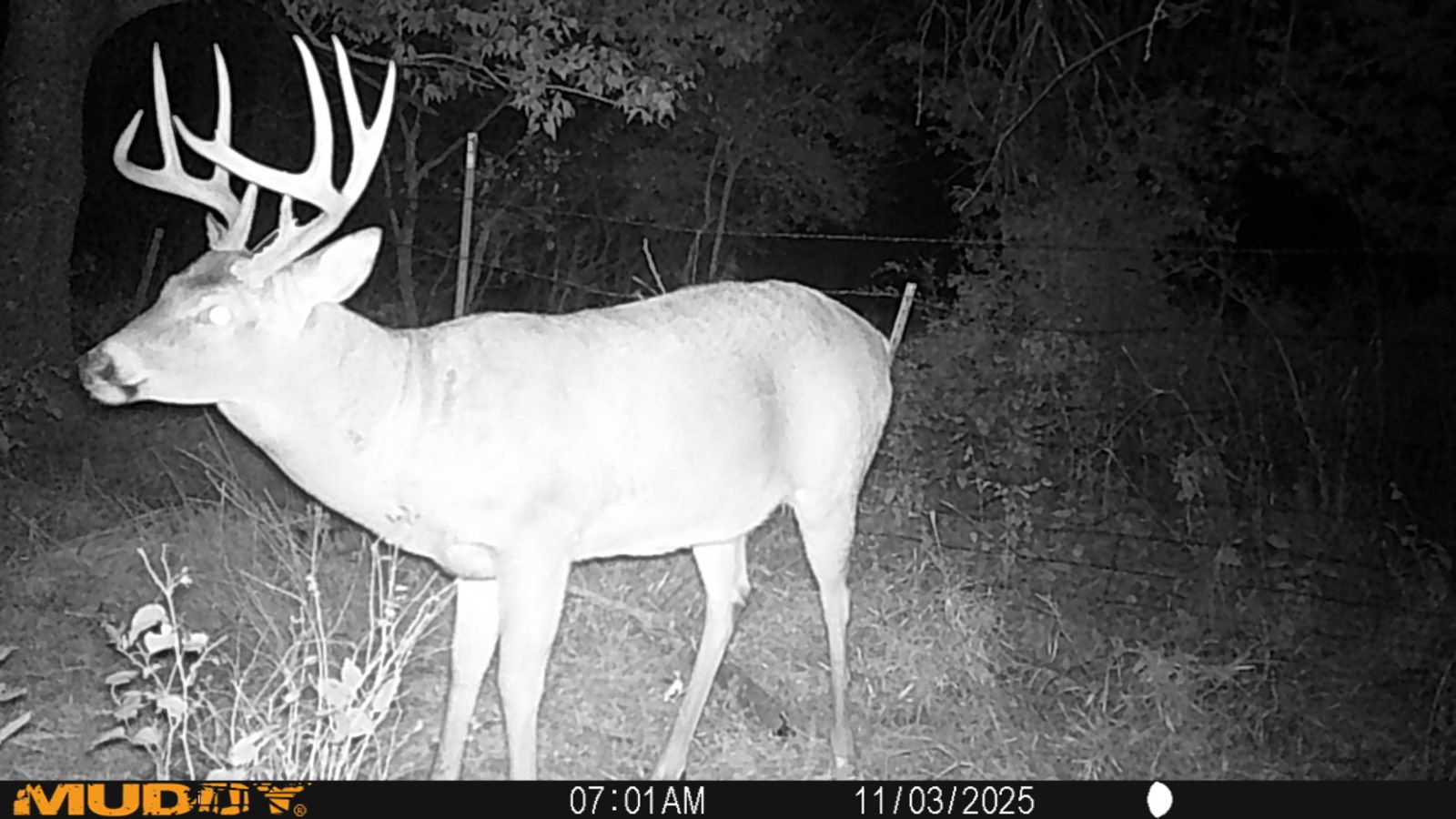 2950 Cr 2600, Independence, KS, 67301